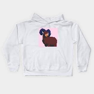 Aries Kids Hoodie